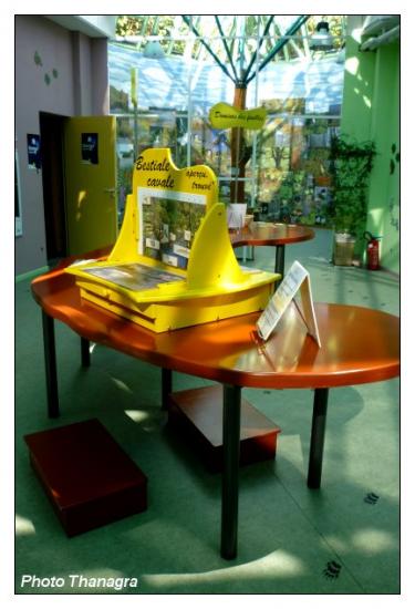 Table de jeu