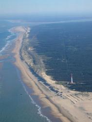 Phare et Forêt
