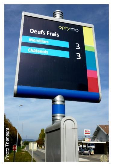 Carrefour des oeufs frais.jpeg