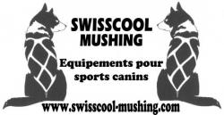 Notre sponsor