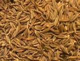 HUILE ESSENTIELLE de Cumin
