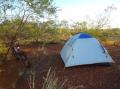 Camping dans le bush