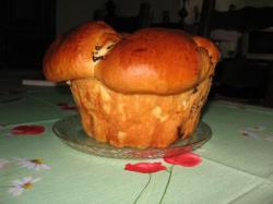 brioche
