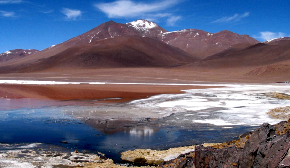 Laguna Colorada (4 500 m)