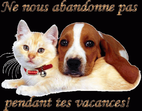 10 parasites dangereux