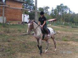 Queya
