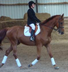 happle et anais