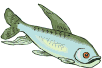poissons