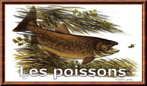 Les poissons