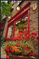Vieux Qu&eacute;bec