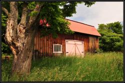 Sur le chemin du Roy