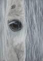 oeil de cheval technique mixte sur papier &agrave; vendre