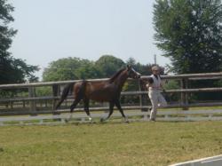 romeo