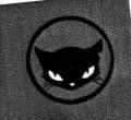 cattoo