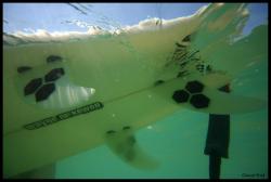 Retour sur 1 mois de surf - Chacal Prod Pictures - Juin 2010