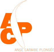 anse caraibe plongée