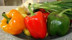 Les poivrons verts, jaunes ou rouges - Histoire, variétés et