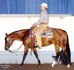 comment apprendre le western a un cheval