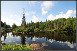 Sur la route du Parc national du Mont Tremblant