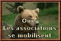 Ours: les associations se mobilisent