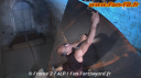Fort Boyard 2010 - Emission 02 (17/07/2010)